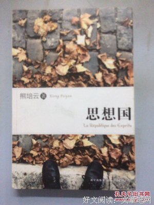 思想国读后感1000字