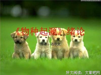 优胜劣汰的句子
