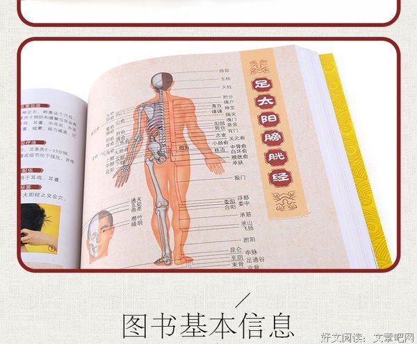 人体经络使用手册经典读后感有感