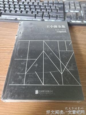 王小波全集（第六卷）经典读后感有感