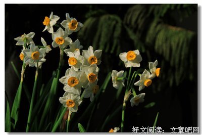 冰清玉洁的名人名言