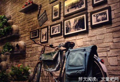《茴香酒店》经典读后感有感