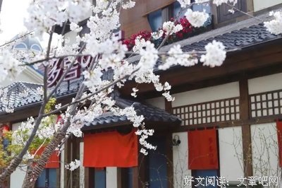 《心跳无限次》影评摘抄