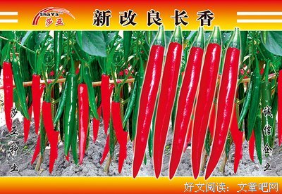 关于莎将出变也了亚的优美句子