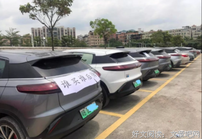 《致命安全》经典影评有感
