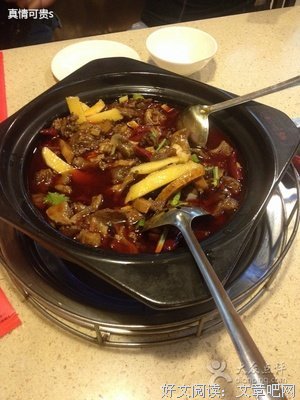 真情可贵经典的句子