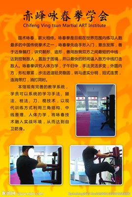 《咏春女孩》的影评大全