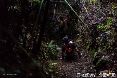 第路过最美短文的优美句子