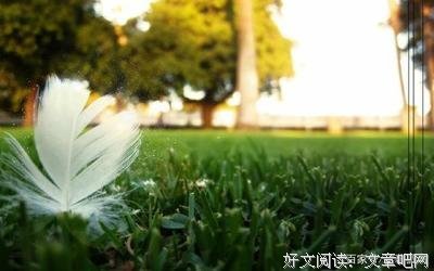 关于一句心可的句子