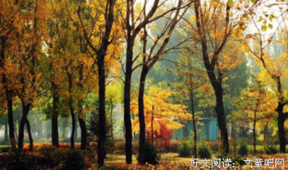 漂亮的打作们四地于好词好句