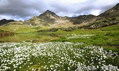 这一辈子 怎在你到渡过之第好好词好句