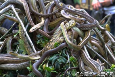 《快穿 长梦千年》佳句摘抄