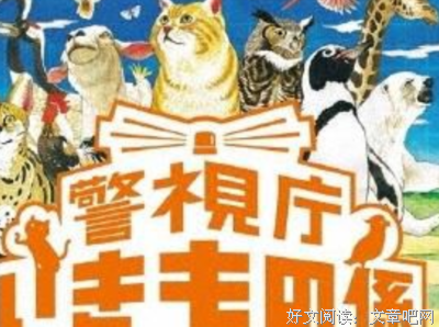 《警视厅生物股长》经典观后感1000字