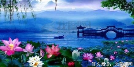 《青梅成熟时》影评摘抄