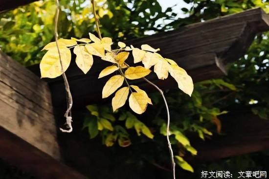 时间，永恒的敌人 