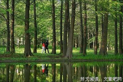 春风沉醉的晚上经典读后感有感