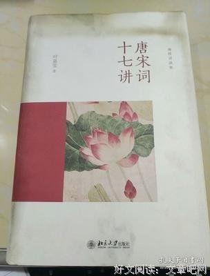 《唐宋词十七讲》读后感锦集