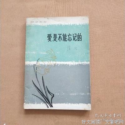 爱，是不能忘记的读后感锦集