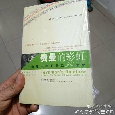 《费曼的彩虹》读后感摘抄