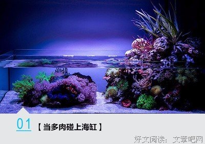 《破戒裁判》读后感摘抄
