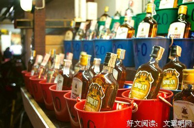 看上去很美读后感100字