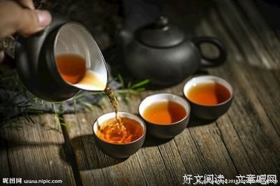 一心一意来奉茶的读后感大全