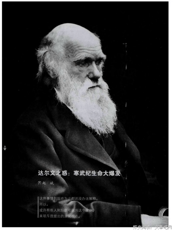 《寒武纪》读后感锦集