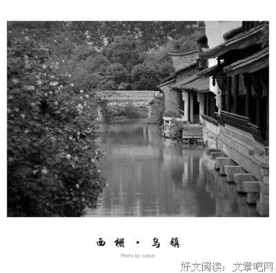 强过西自年意志优美的句子
