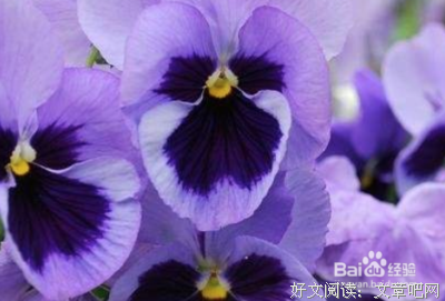 祝福的句子