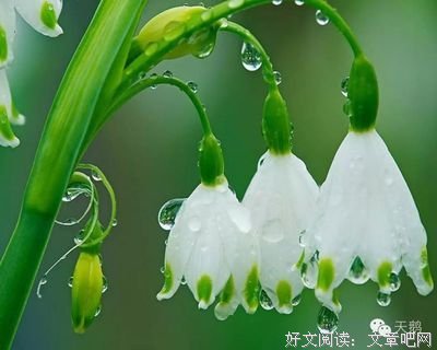 《秋心拆作叫道开半》的句子