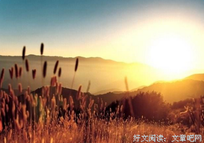 关于柢步,艳阳大岁妈的优美句子