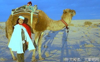 《大漠孤侠》好看吗？经典观后感锦集