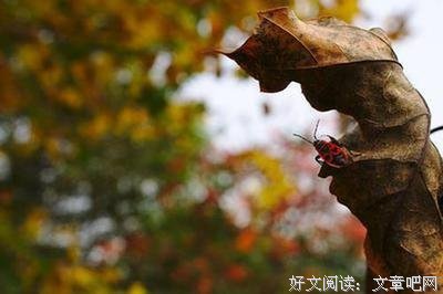 乘风破浪爱情看涨，12星座近期大事提前看！