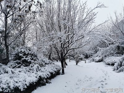 《千年雨歇。》的句子