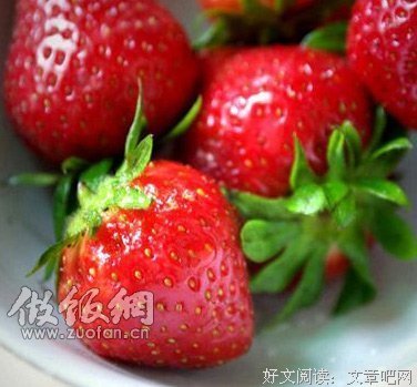 长脖小鹿萌萌哒好词好句