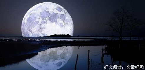 最经典的纷纭名言