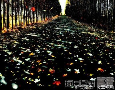 最全的《思语绣晓伟》经典的句子