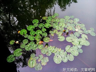 《漂浮》的影评大全
