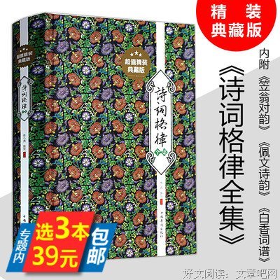 诗词格律概要 诗词格律十讲读后感1000字