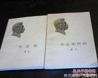三闲集读后感摘抄