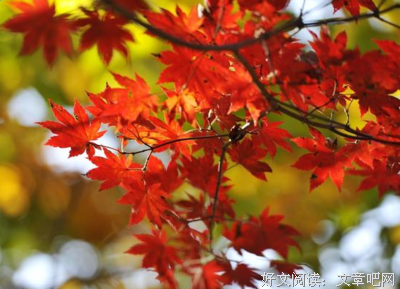 这一代人的怕和爱读后感精选