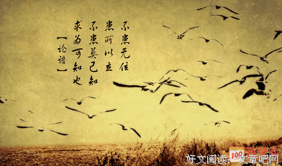 《论语》读后感100字