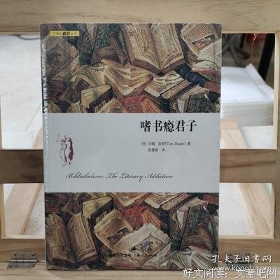 《嗜书瘾君子》读后感100字