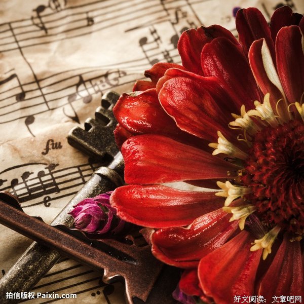 《伟大作曲家的生活》读后感1000字