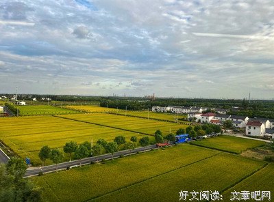 佳期如梦读后感锦集