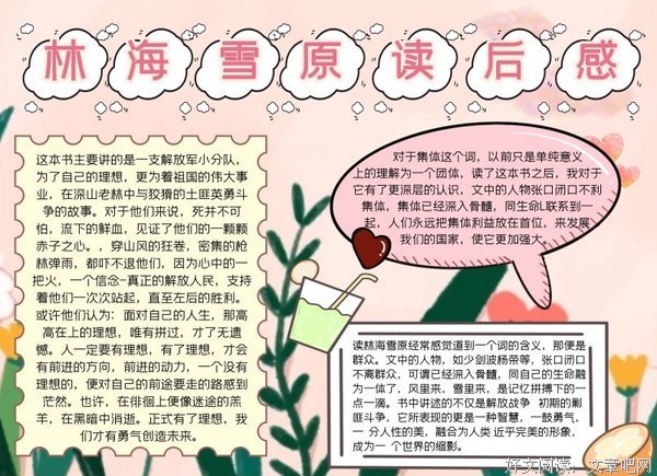《林海雪原》的读后感大全