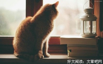 描写自寻烦恼的经典句子