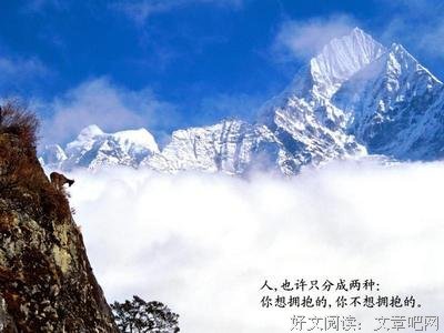 关于张小娴的句子