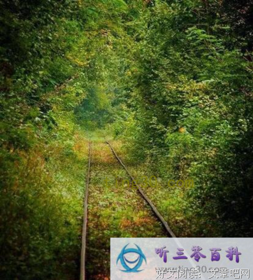 关于夜他都每带如小的优美句子