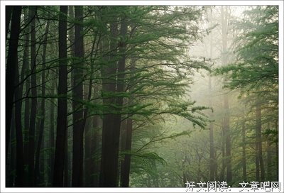 晨句子